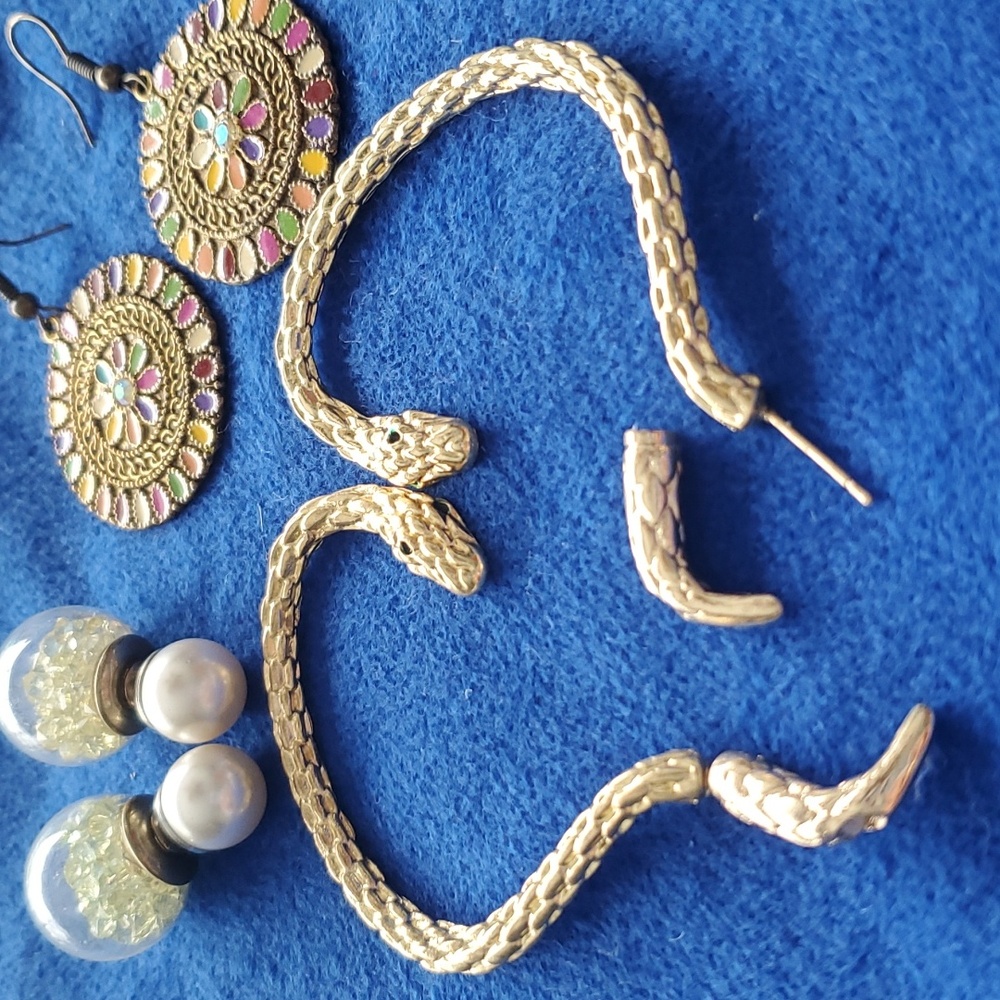 Earrings
